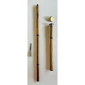 Canne fusil sarbacane